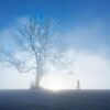 Der Winter