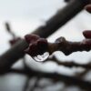 Lichtbild: Hingucker der Woche