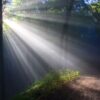 sunbeams-g31d4b4242_1280