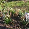 Willkommen Frühling