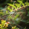 Zusammenwirken – die Kunst des Einklangs