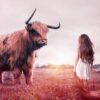 ZAPERLOT – NOT ...