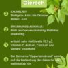 girsch