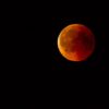 Vollmondin/Totale Mondfinsternis im Skorpion –  Tiefe, die heilt