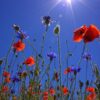 ASTROLOGISCHES STIMMUNGSBAROMETER fürs Wochenende!