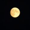 Zum Vollmond