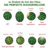 Wassermelone