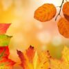 autumn-g3fcc2c995_1280