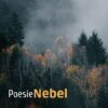Nebel Wissen