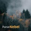 nebel