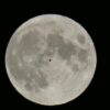 Lichtbild: Vollmond