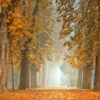 NovemberZeit - AhnenZeit