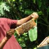 Der Garten als Kosmos
