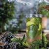 Rühlemann's Kräuter- und Duftplanzen Katalog
