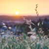 Poesie: Utopie