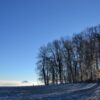 Ein Neujahrswunsch