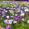 Sternennews: Frühlingsgefühle