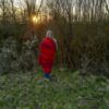 Die unsichtbare Welt in der Natur