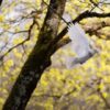 Poesie: Friedenbringer*in
