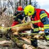 Die Freiwilligen der Feuerwehr