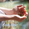 Gehalten