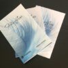 Federfluss, das Buch