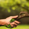 Die Magie der Natur(wesen)