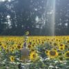 In Richtung Frieden