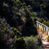 Motiv des Monats Juli 2023:  Neue Wege