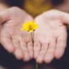 Poesie: Menschenform