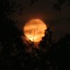 Vollmond