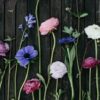 Slow Flower Bewegung