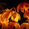 Poesie: Ende August