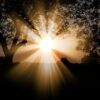 Poesie: Vision