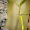 Die Kraft der Intention