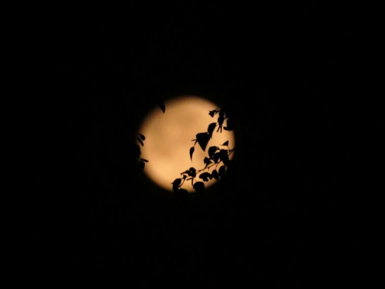 Vollmond